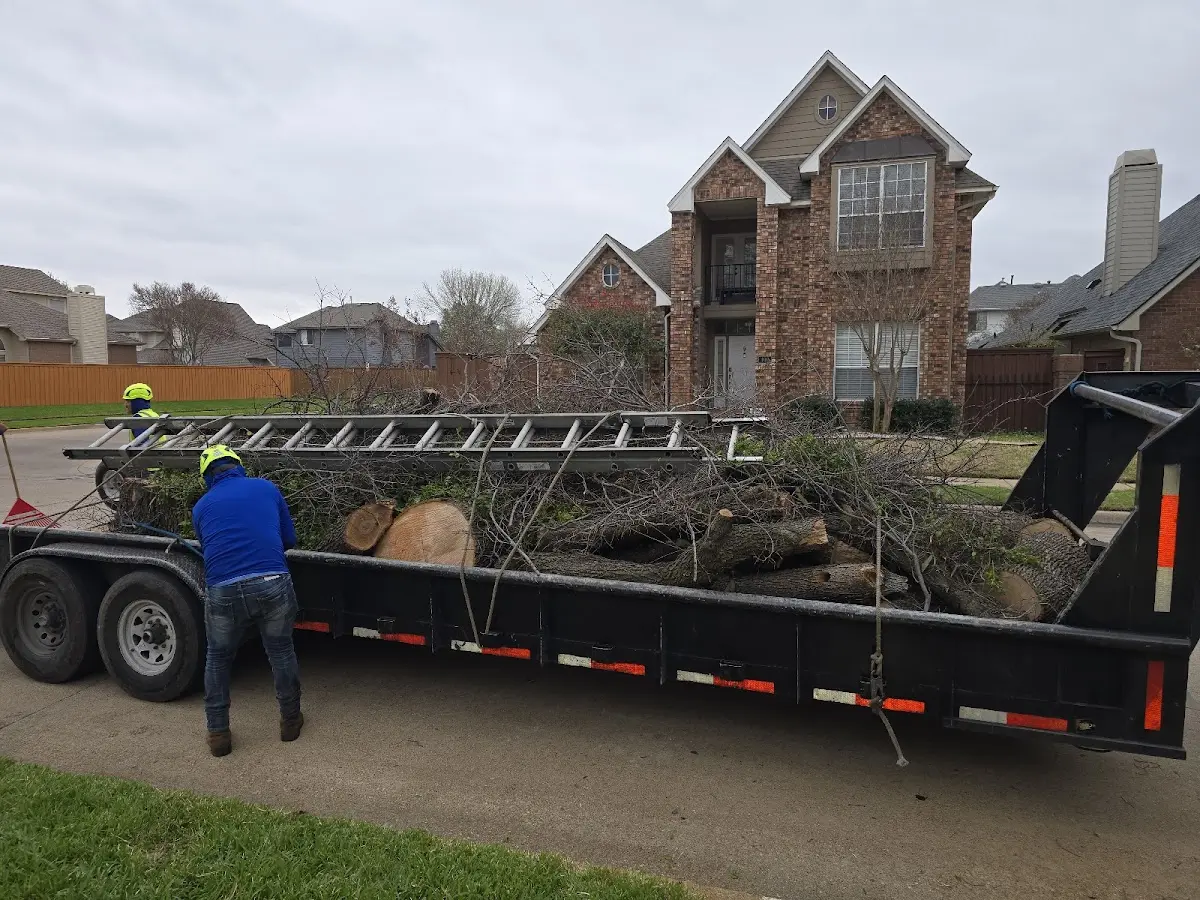 Expert Tree Fertilization with proper safety equipment in Villa Ridge